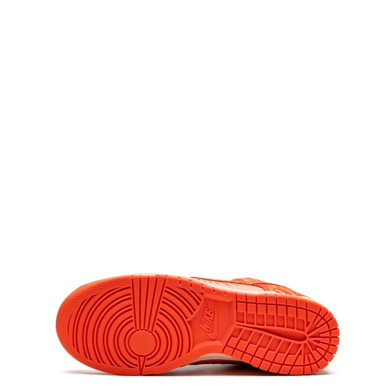 Nike Dunk Low NH Winter Solstice (W)