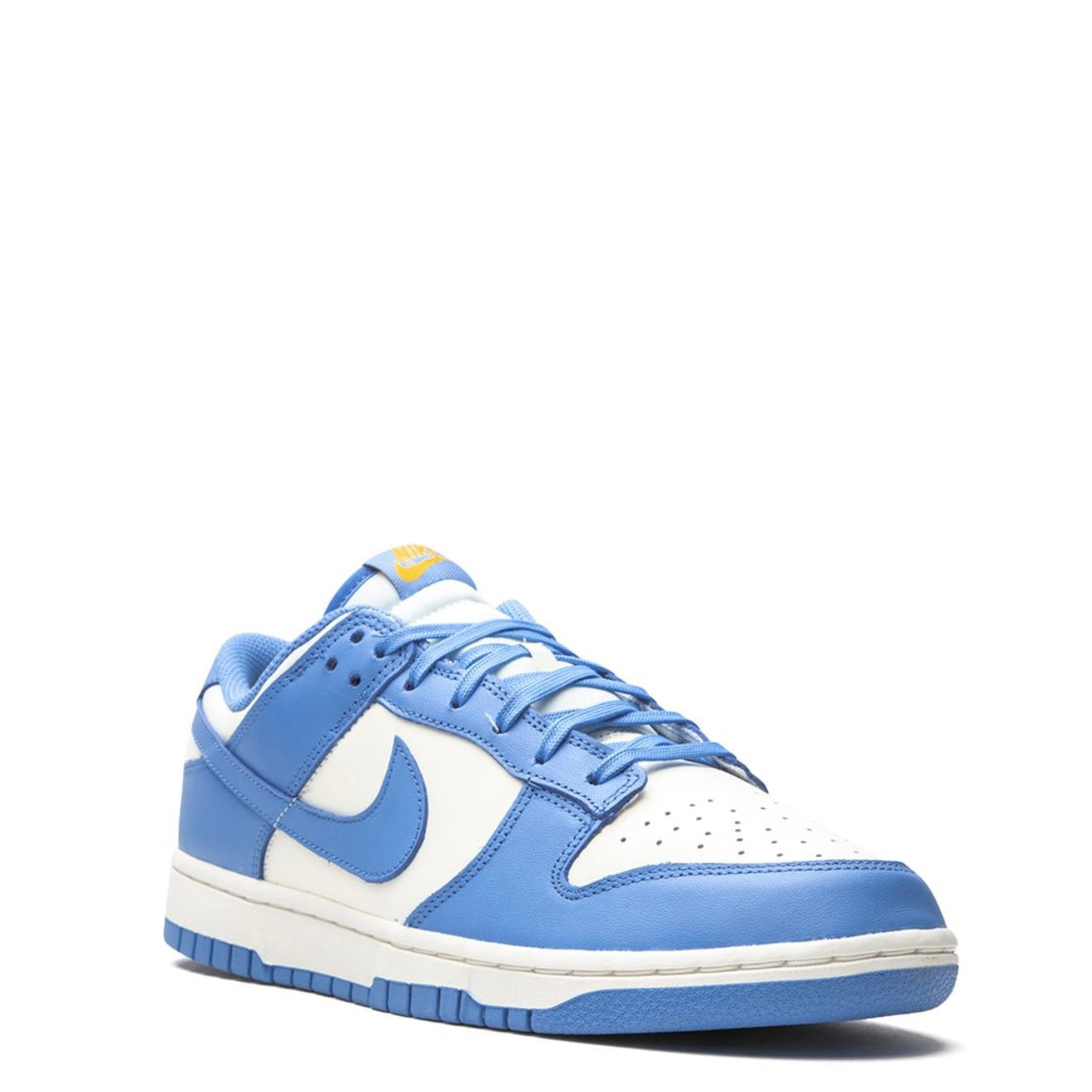 Nike Dunk Low Coast (W)