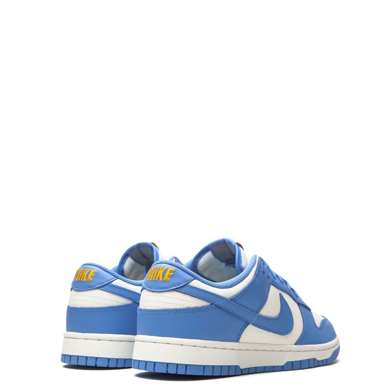 Nike Dunk Low Coast (W)